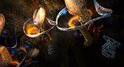 deuxpoids5PetTab.jpg - 18974 Bytes