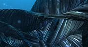 deuxpoids3_2KPetTab.jpg - 21063 Bytes