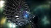 ivoir02PetTab.jpg - 23891 Bytes